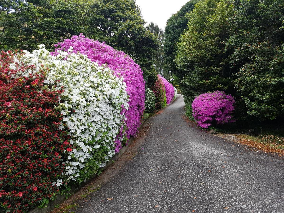 Appartamento GIOIOSA 2 con giardino e vista Lago Maggiore Belgirate Esterno foto