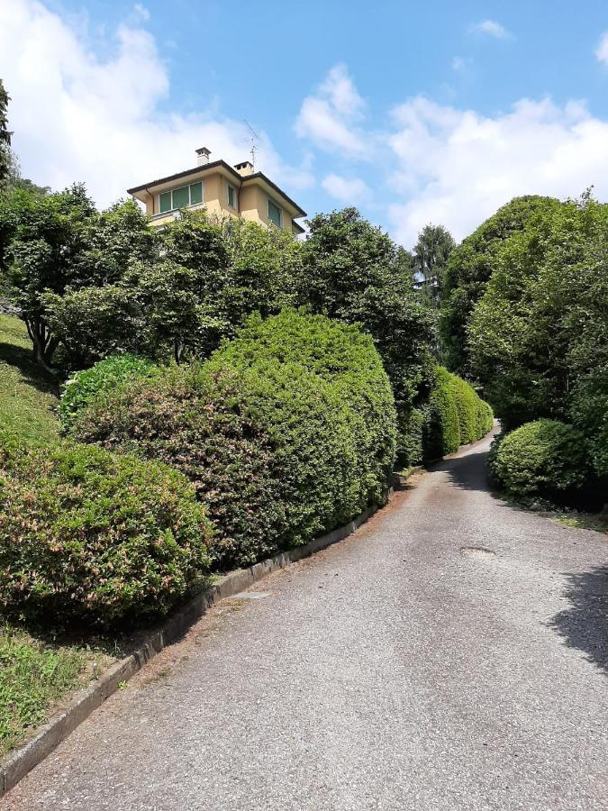 Appartamento GIOIOSA 2 con giardino e vista Lago Maggiore Belgirate Esterno foto